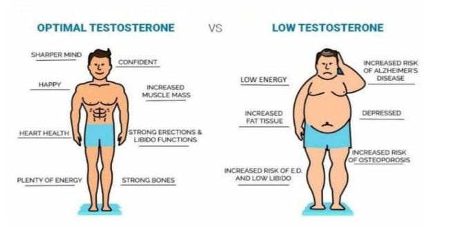 Testosterone and Sex Hormone
