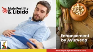 Read more about the article Male Fertility & libido enhancement by Ayurveda