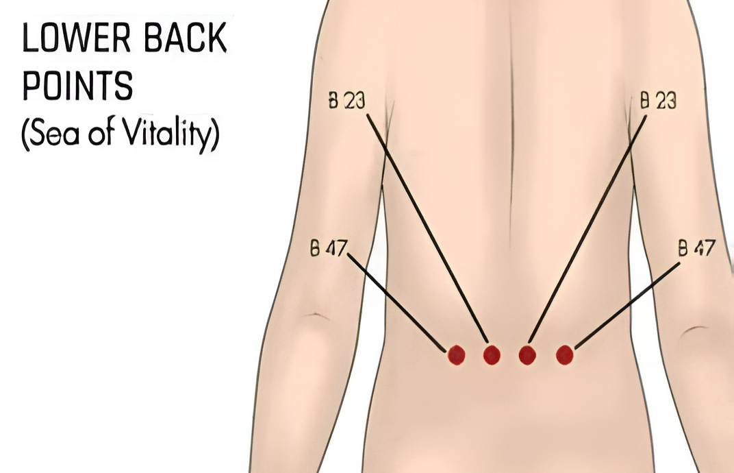 famous acupressure and sexology mumbai best acupressure and sexology in india