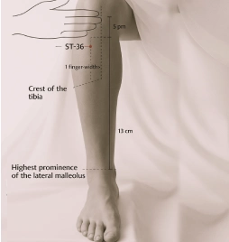 trusted acupressure sexologist mumbai famous acupressure sexologist india