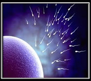 leading male sexual problems treatment in mumbai