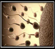top of the range male sexual problems treatment in mumbai