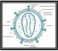 trusted hiv treatment in india trusted hiv treatment in mumbai